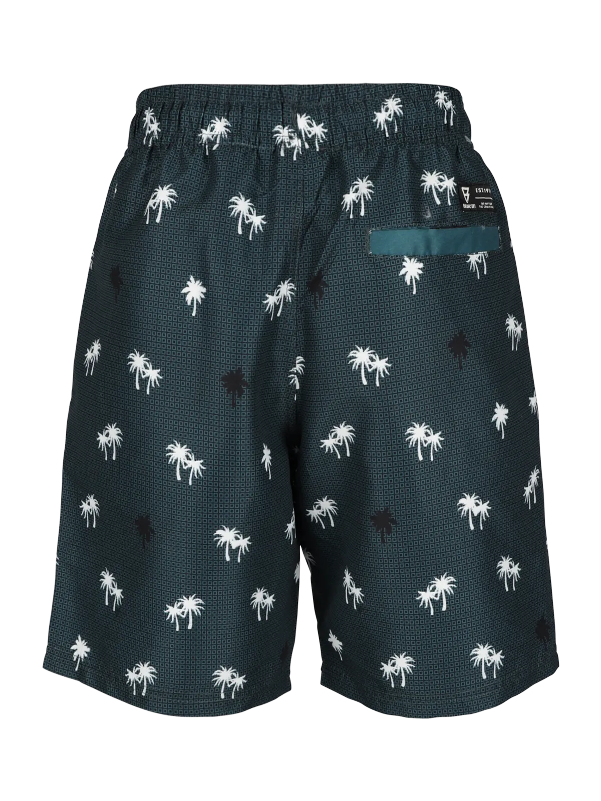 Hestey-AO Boys Swim Shorts | Green