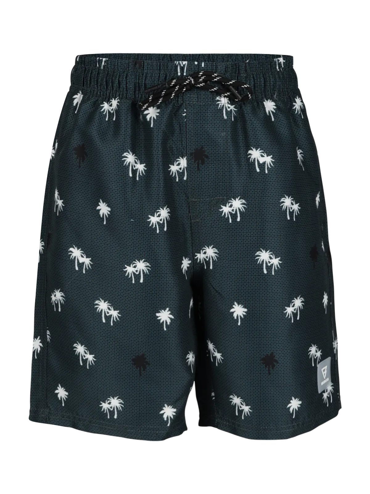Hestey-AO Boys Swim Shorts | Green